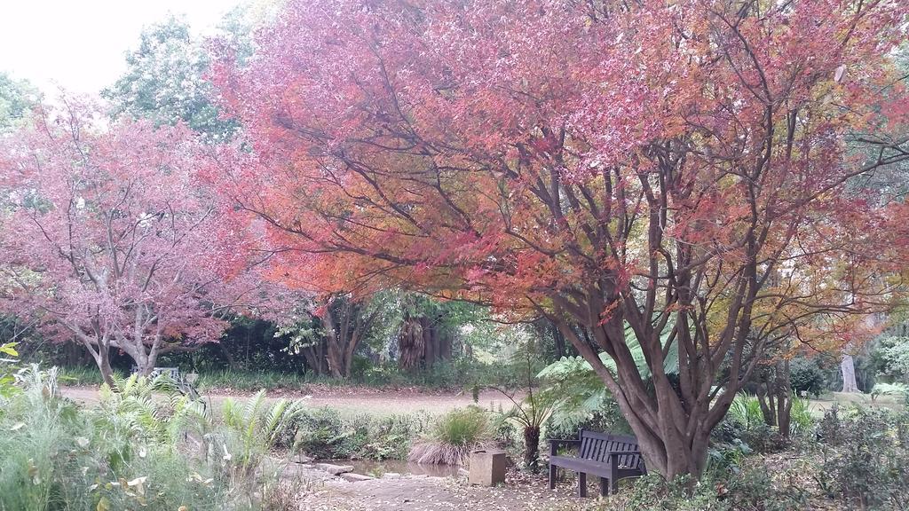 Babbling Brook Bed & Breakfast Pietermaritzburg Eksteriør billede