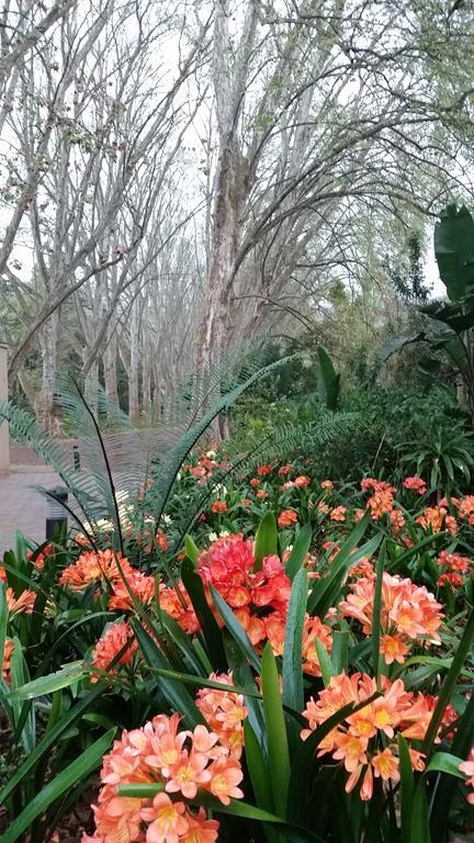 Babbling Brook Bed & Breakfast Pietermaritzburg Eksteriør billede