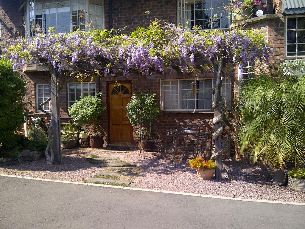 Babbling Brook Bed & Breakfast Pietermaritzburg Eksteriør billede