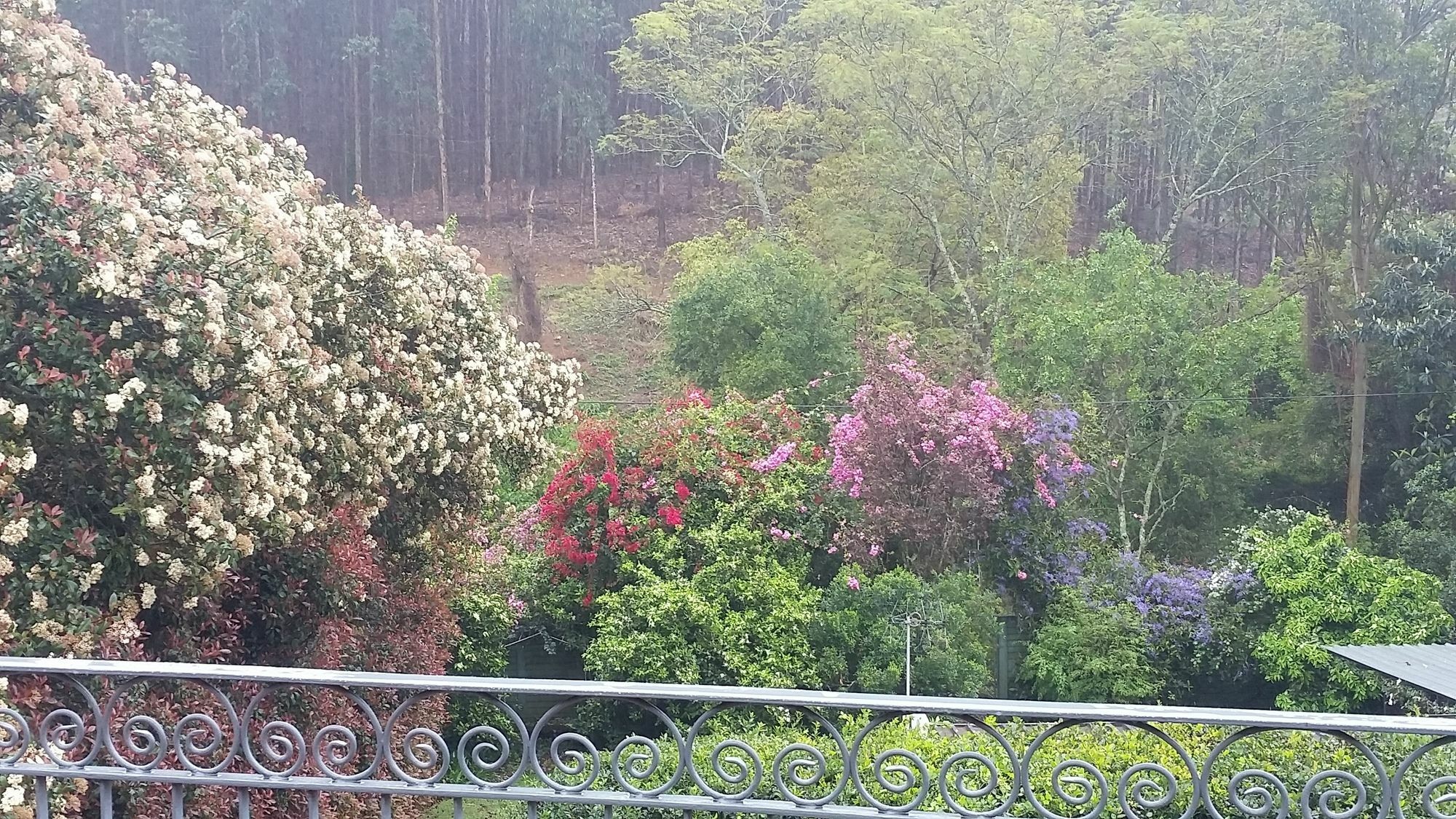Babbling Brook Bed & Breakfast Pietermaritzburg Eksteriør billede